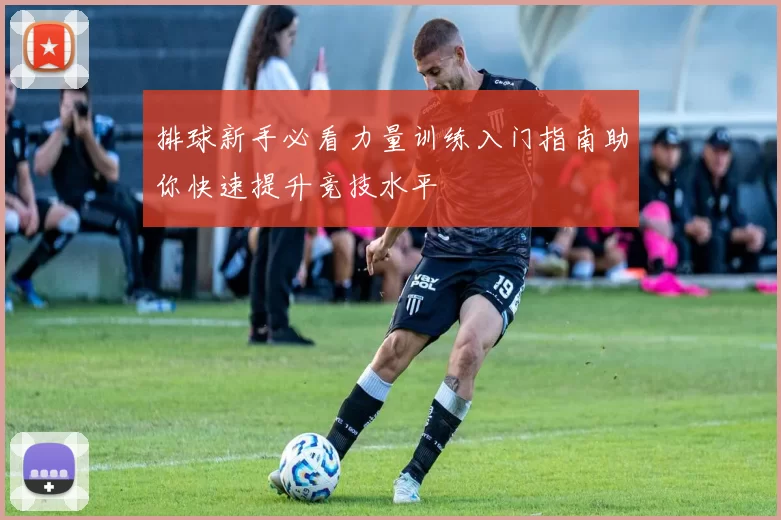 排球新手必看力量训练入门指南助你快速提升竞技水平